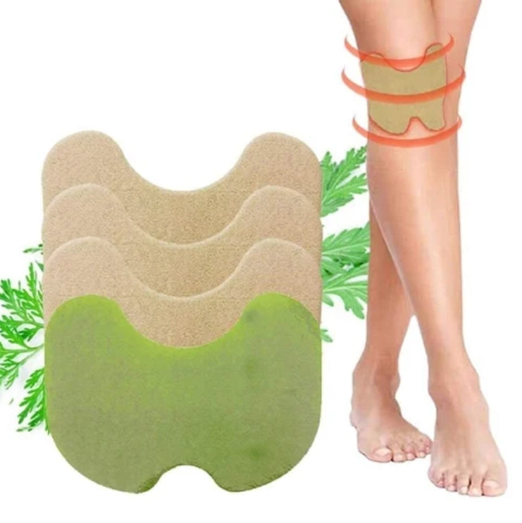 PACK PARCHES PARA RODILLA + 2 PARCHES DESINTOXICANTES KINOKI